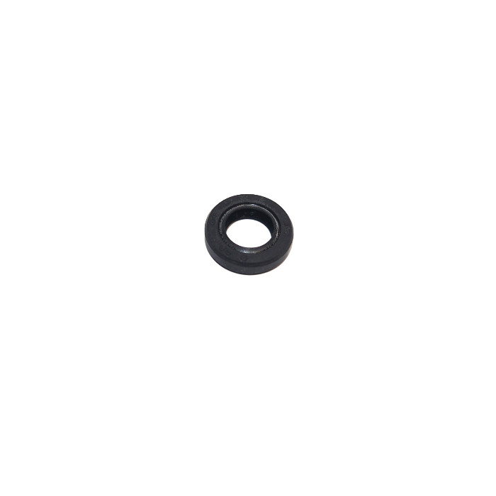 210103 PEGASUS E52 OIL SEAL