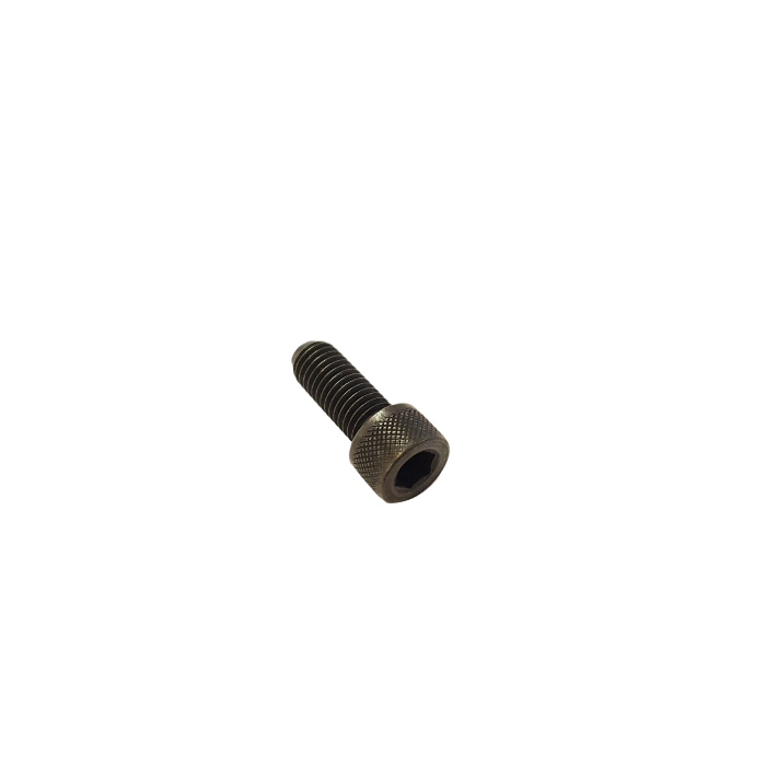 350600 (869) SINGER SCREW